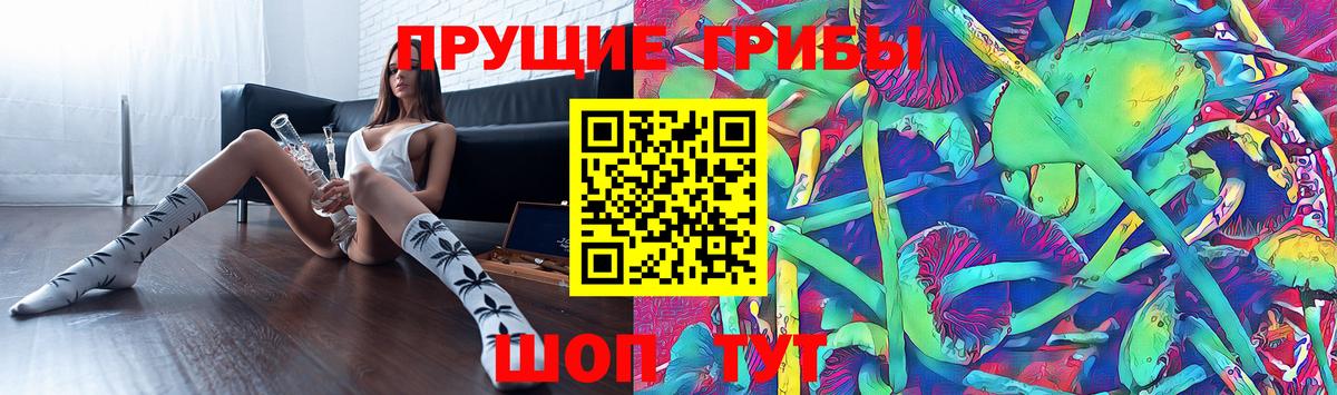 Алатырь  Галлюциногенные грибы Psilocybine cubensis  Вход с VPN  Псилоцибиновые грибы мицелий 